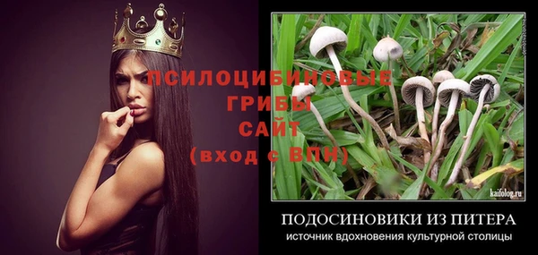 крисы Володарск